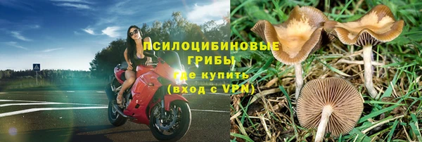 мескалин Горно-Алтайск
