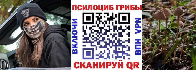 Псилоцибиновые грибы GOLDEN TEACHER  Михайлов 